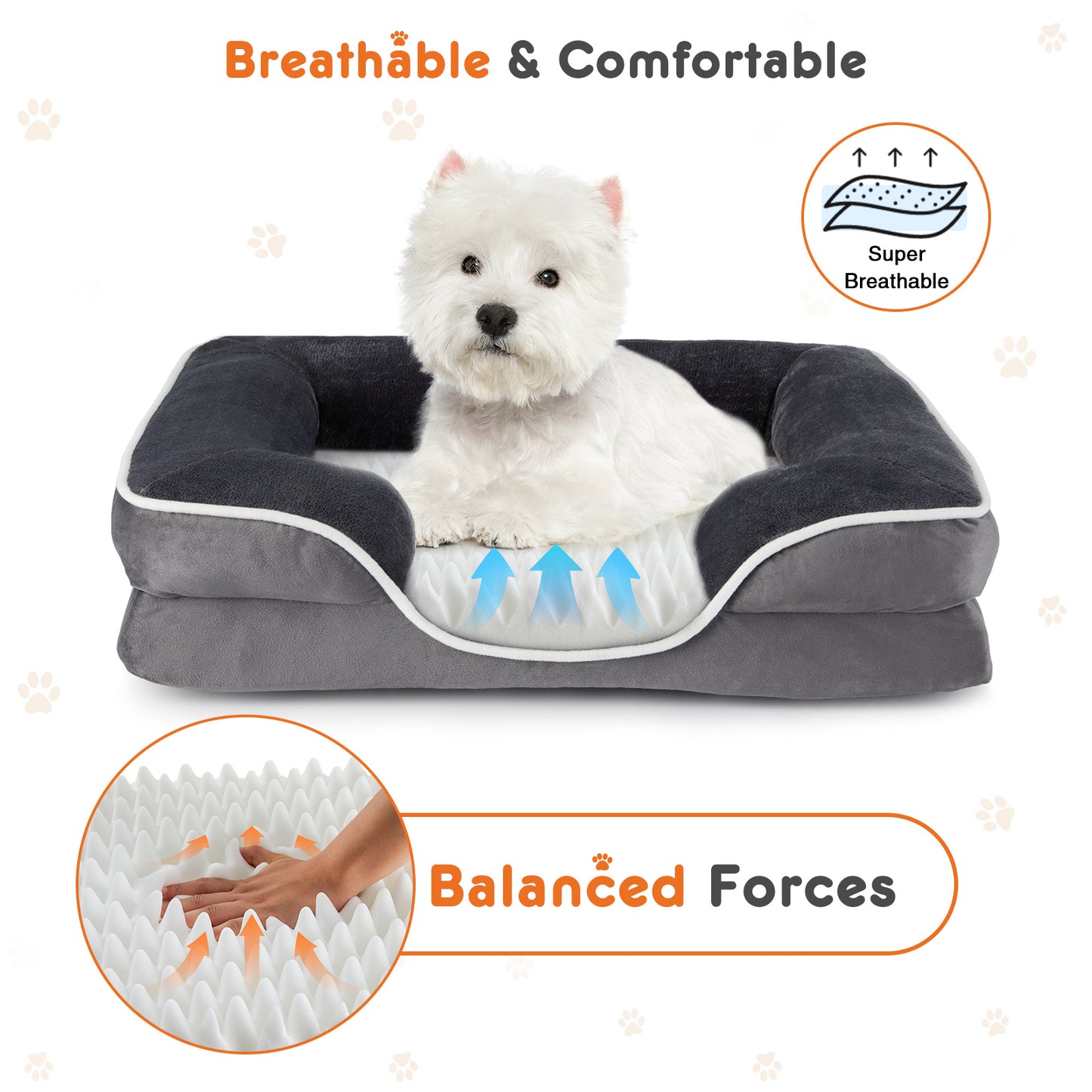 Memory Foam Bed for Small To Medium Dogs