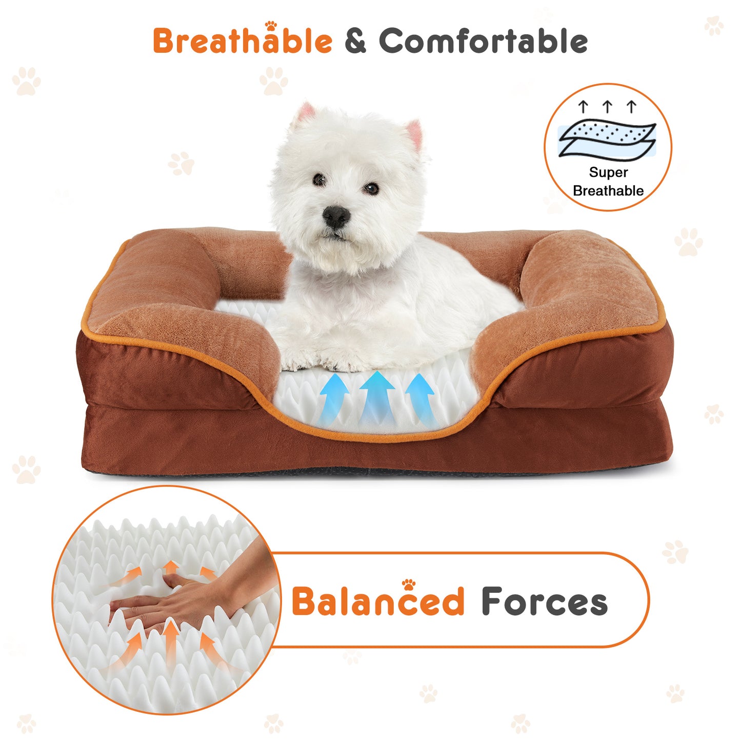 Memory Foam Bed for Small To Medium Dogs