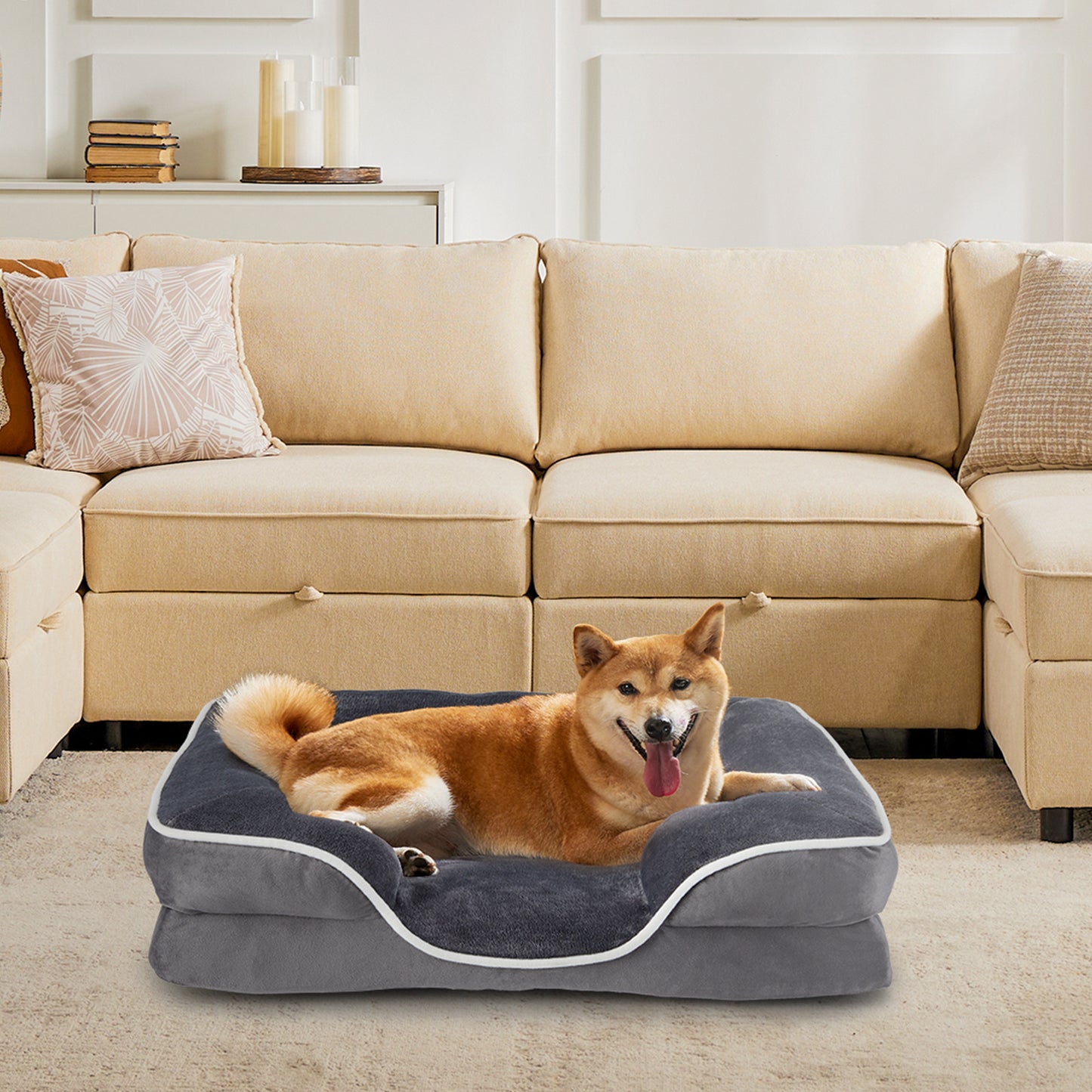Memory Foam Bed for Small To Medium Dogs